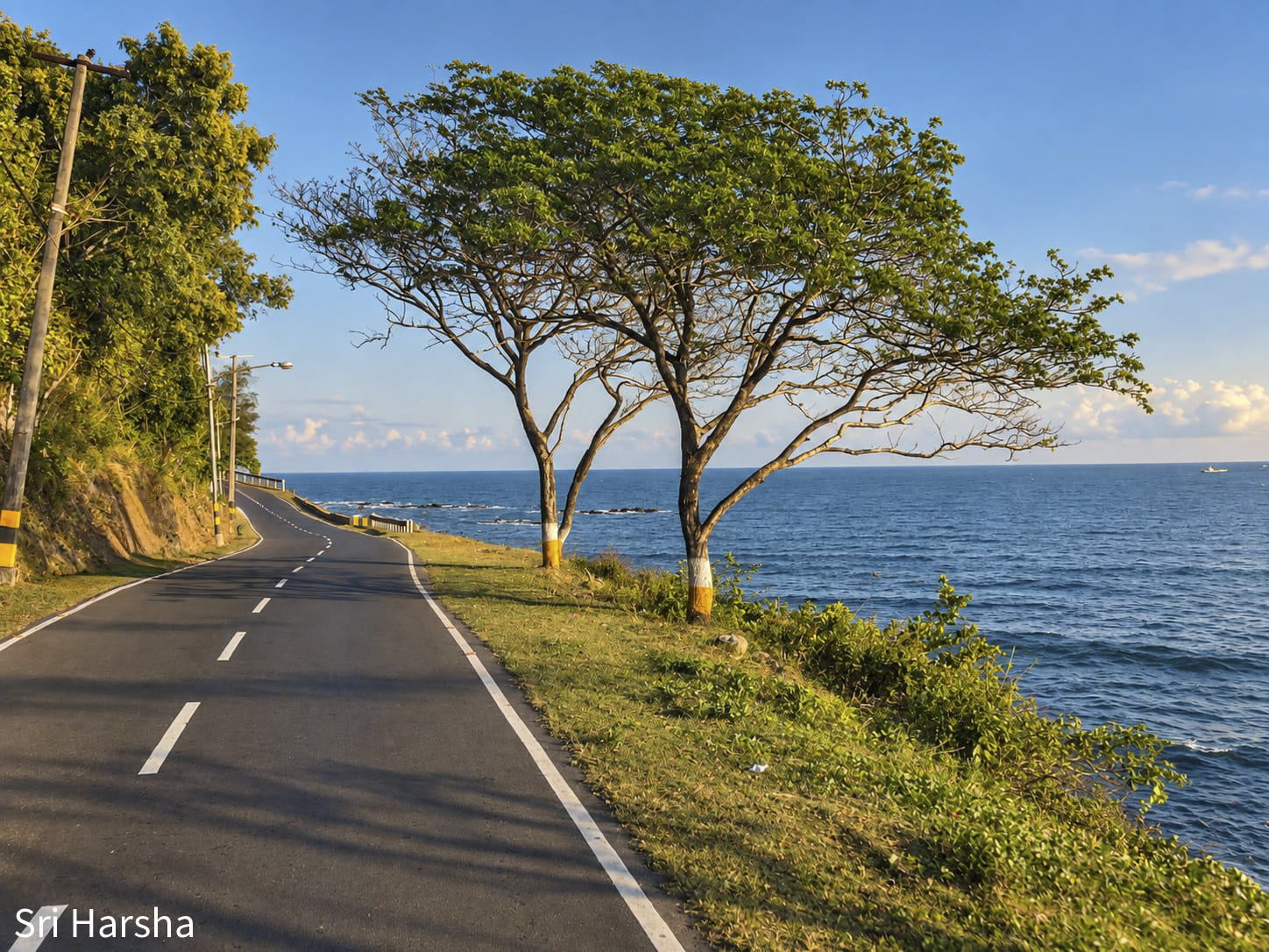 Nature photograph showing an open road
